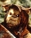 Scribe ewok Scribe ewok